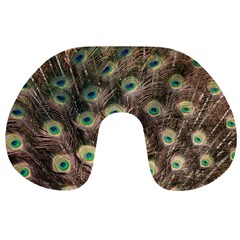 Bird 4099645 960 720 Travel Neck Pillow