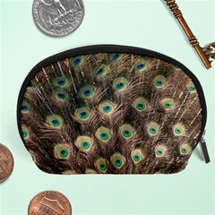 Bird 4099645 960 720 Accessory Pouch (large) by vintage2030