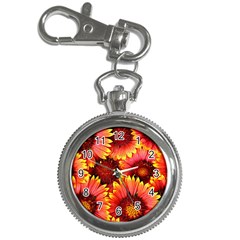 Background 1655938 960 720 Key Chain Watches by vintage2030