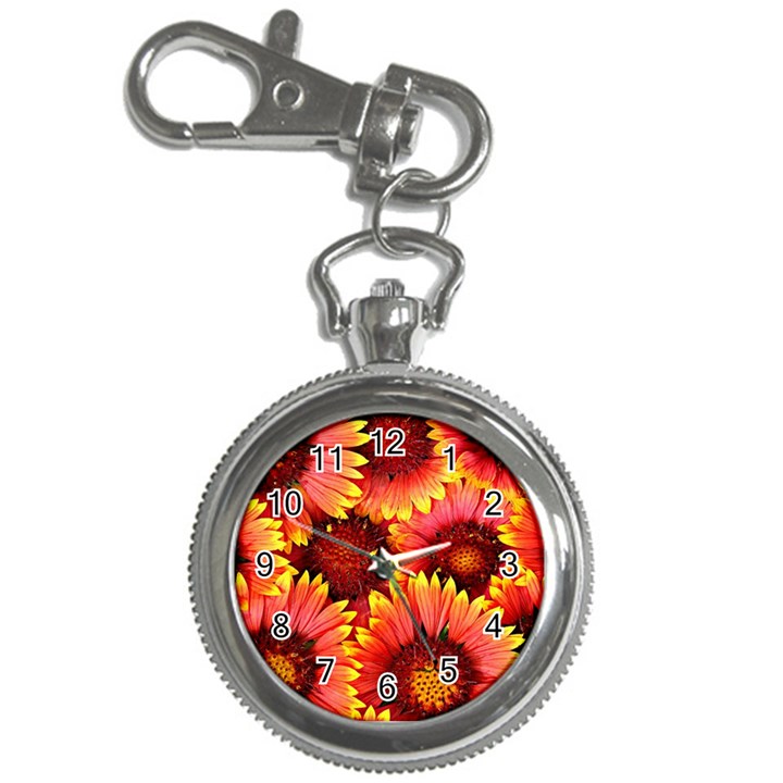 Background 1655938 960 720 Key Chain Watches