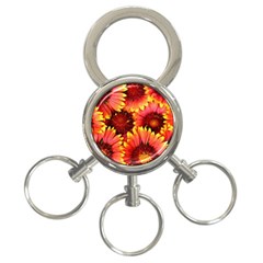 Background 1655938 960 720 3-ring Key Chain by vintage2030