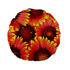 Background 1655938 960 720 Standard 15  Premium Round Cushions