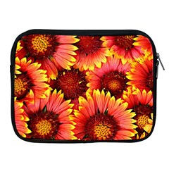 Background 1655938 960 720 Apple Ipad 2/3/4 Zipper Cases