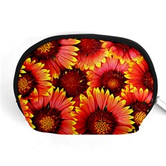 Background 1655938 960 720 Accessory Pouch (medium) by vintage2030