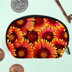 Background 1655938 960 720 Accessory Pouch (large) by vintage2030