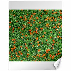 Carnations Flowers Seamless Canvas 18  X 24 