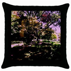 Hot Day In Dallas 3 Throw Pillow Case (black) by bestdesignintheworld