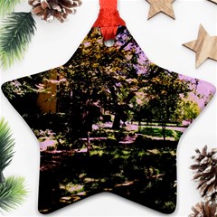 Hot Day In Dallas 3 Star Ornament (two Sides) by bestdesignintheworld