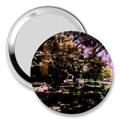 Hot Day In Dallas 3 3  Handbag Mirrors by bestdesignintheworld