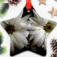 Daisies Ornament (star) by bestdesignintheworld