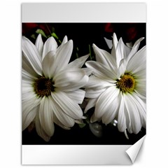 Daisies Canvas 12  X 16  by bestdesignintheworld