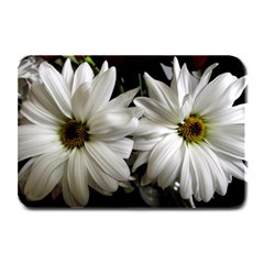 Daisies Plate Mats by bestdesignintheworld