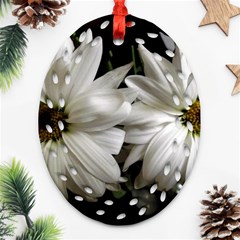 Daisies Oval Filigree Ornament (two Sides) by bestdesignintheworld