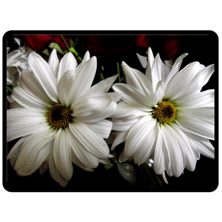 Daisies Double Sided Fleece Blanket (Large) 