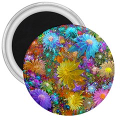 Apo Flower Power  3  Magnets by WolfepawFractals