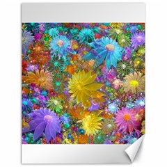 Apo Flower Power Canvas 18  X 24  by WolfepawFractals