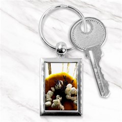 Tulips 1 2 Key Chain (rectangle) by bestdesignintheworld