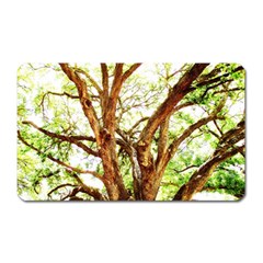 Hot Day In Dallas 14 Magnet (rectangular) by bestdesignintheworld