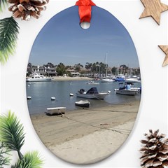 Balboa 1 3 Oval Ornament (two Sides)