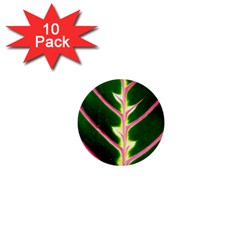 Exotic Green Leaf 1  Mini Buttons (10 Pack)  by Vaneshart