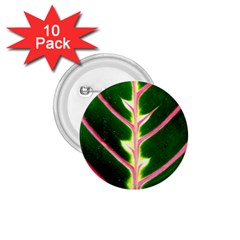 Exotic Green Leaf 1 75  Buttons (10 Pack) by Vaneshart