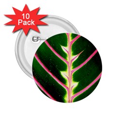 Exotic Green Leaf 2 25  Buttons (10 Pack)  by Vaneshart