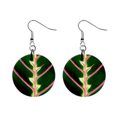 Exotic Green Leaf Mini Button Earrings