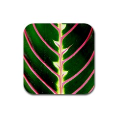 Exotic Green Leaf Rubber Square Coaster (4 Pack)  by Vaneshart