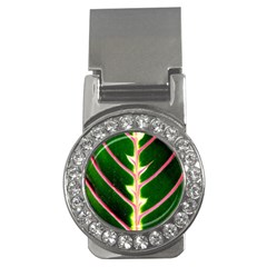 Exotic Green Leaf Money Clips (cz)  by Vaneshart