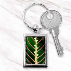 Exotic Green Leaf Key Chain (rectangle) by Vaneshart