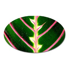 Exotic Green Leaf Oval Magnet by Vaneshart