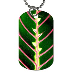 Exotic Green Leaf Dog Tag (two Sides) by Vaneshart