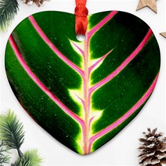 Exotic Green Leaf Heart Ornament (two Sides) by Vaneshart