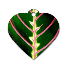 Exotic Green Leaf Dog Tag Heart (one Side) by Vaneshart