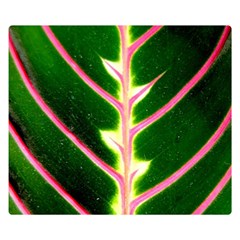 Exotic Green Leaf Double Sided Flano Blanket (small)  by Vaneshart