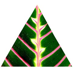 Exotic Green Leaf Wooden Puzzle Triangle