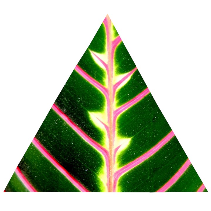 Exotic Green Leaf Wooden Puzzle Triangle