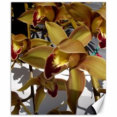 Orchids  1 1 Canvas 8  X 10  by bestdesignintheworld