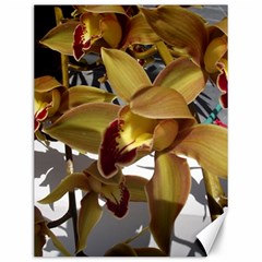 Orchids  1 1 Canvas 12  X 16  by bestdesignintheworld