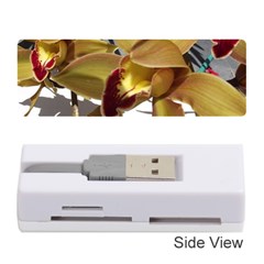 Orchids  1 1 Memory Card Reader (stick) by bestdesignintheworld