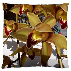 Orchids  1 1 Large Cushion Case (one Side) by bestdesignintheworld