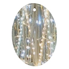 String Of Lights Christmas Festive Party Oval Ornament (two Sides) by yoursparklingshop