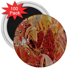 Autumn Colors Leaf Leaves Brown Red 3  Magnets (100 pack)