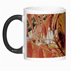 Autumn Colors Leaf Leaves Brown Red Morph Mugs