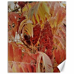 Autumn Colors Leaf Leaves Brown Red Canvas 16  x 20 