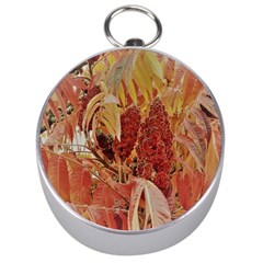 Autumn Colors Leaf Leaves Brown Red Silver Compasses