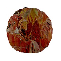 Autumn Colors Leaf Leaves Brown Red Standard 15  Premium Flano Round Cushions