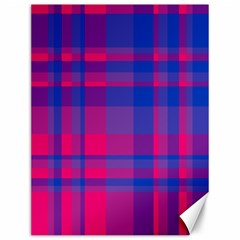 Bisexual Plaid Canvas 12  X 16  by NanaLeonti