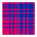 Bisexual plaid Medium Glasses Cloth (2 Sides) Front