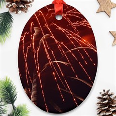 Fireworks Red Orange Yellow Oval Ornament (two Sides)